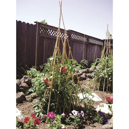 Bamboo TeePee Trellis